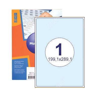 Бумажные этикетки для принтера 199,6х289,1 мм  | 1 штука на листе А4 40199289 - фото 6627